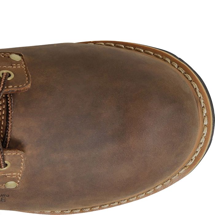 Carolina Poplar 8" Comp Toe Insulated Waterproof Logger